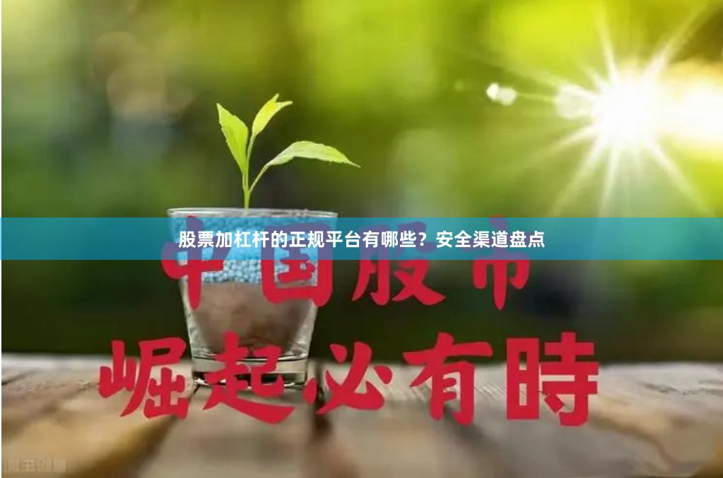 股票加杠杆的正规平台有哪些？安全渠道盘点