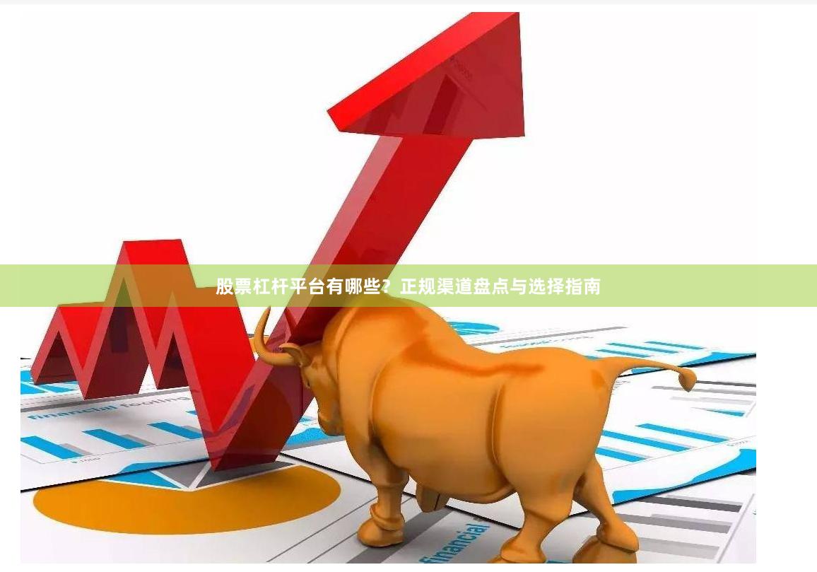 股票杠杆平台有哪些？正规渠道盘点与选择指南