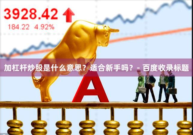 加杠杆炒股是什么意思？适合新手吗？- 百度收录标题