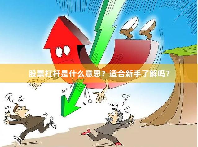 股票杠杆是什么意思？适合新手了解吗？