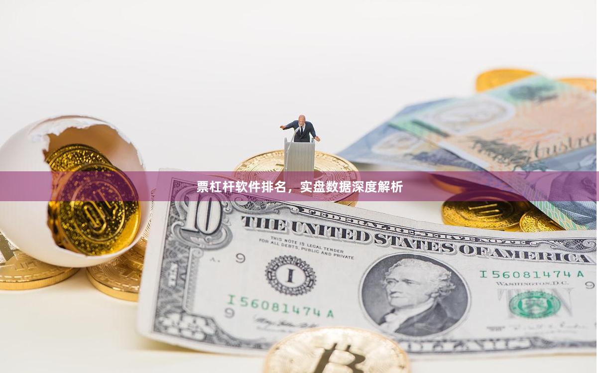 票杠杆软件排名，实盘数据深度解析