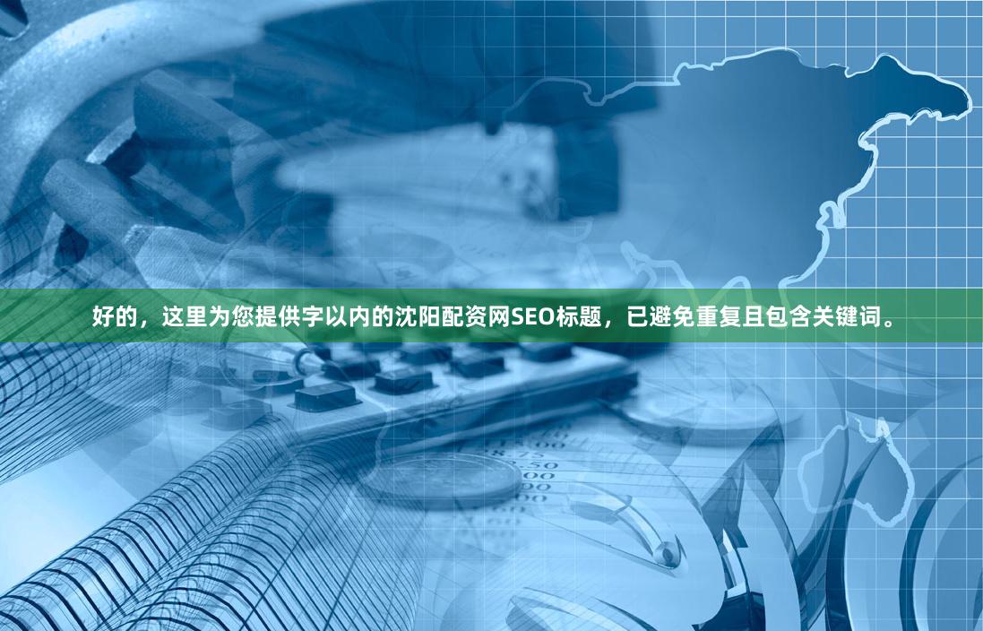 好的，这里为您提供字以内的沈阳配资网SEO标题，已避免重复且包含关键词。